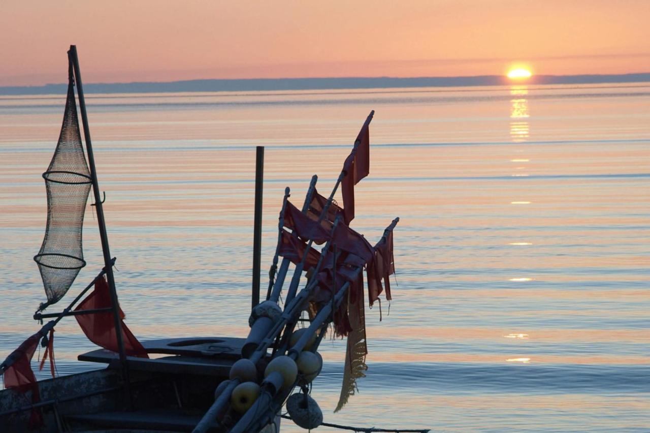 Fewo Seeblick - Familien - Hunde - Strandnah - Ostseeblick - Sauna & Wellness 지르크도르프 외부 사진