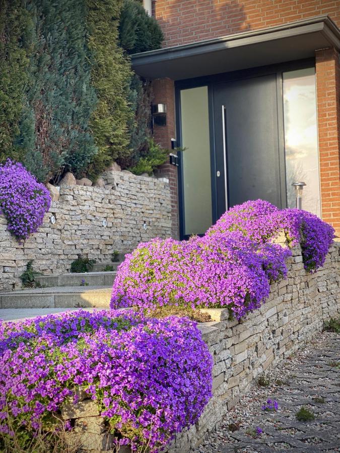 Fewo Seeblick - Familien - Hunde - Strandnah - Ostseeblick - Sauna & Wellness 지르크도르프 외부 사진